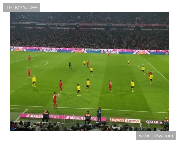 走进多特蒙德伊杜纳信号公园球场的全新LED照明系统改造工程 走进多特蒙德伊杜纳信号公园球场的全新LED照明系统改造工程